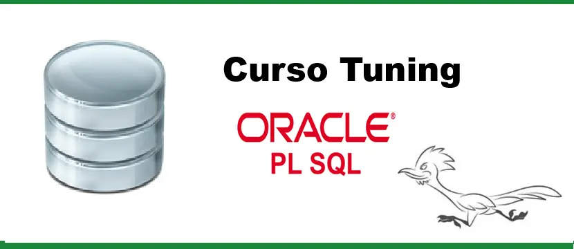 Curso de Oracle® PL/SQL TUNING